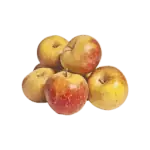 Goudreinet appels