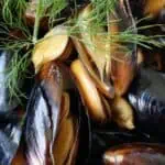 Mosselen, jumbo per kilo