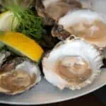 Oesters verpakt per 12