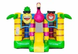 Mini bounce flamingo 3,4 x 3 m